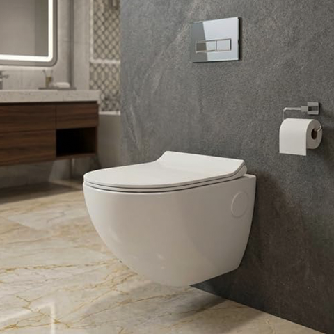 Toilet Seats & Bowls