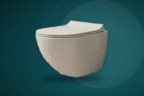Toilet Seats & Bowls