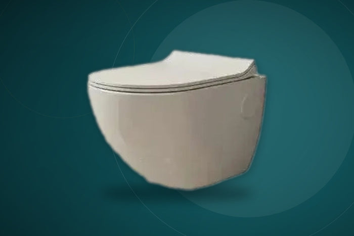 Toilet Seats & Bowls