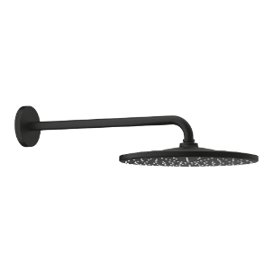 Grohe Rainshower Mono Head Shower Black