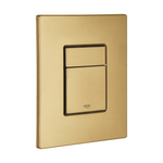 Grohe Skate Cosmopolitan Flush Plate Matt Gold