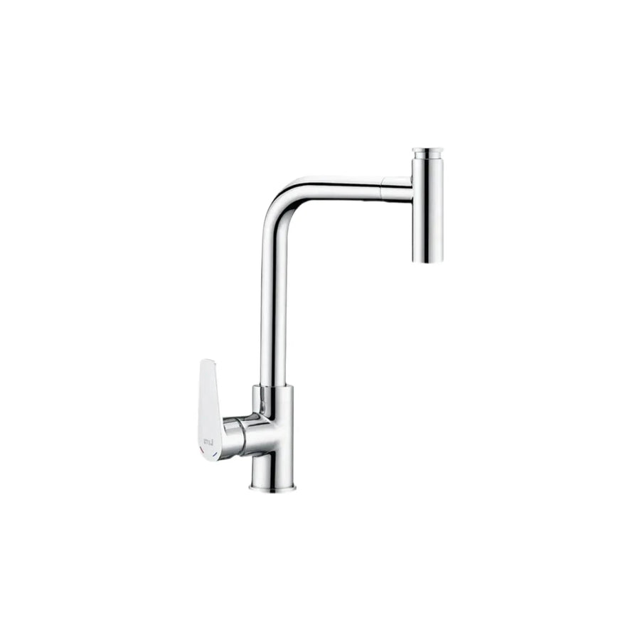 Pull-Out Kitchen Mixer with Swivel Head