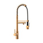 Gawad Jory Kitchen Mixer Gold